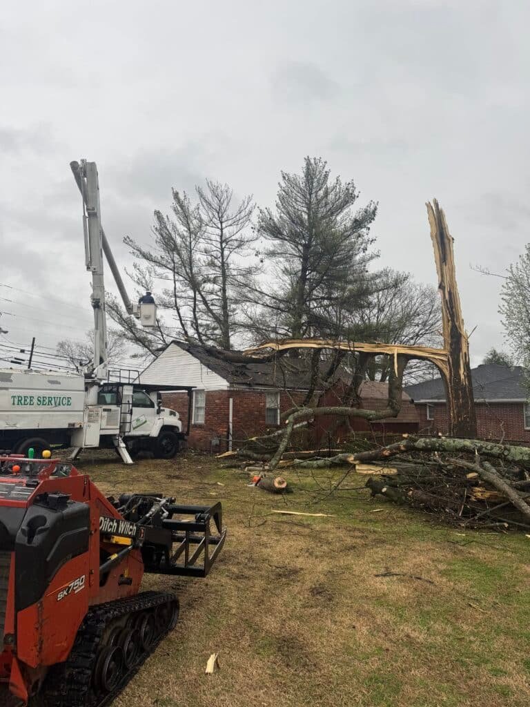 Emergency tree service storm damage removal Smyrna TN